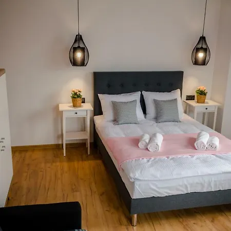 Golden Blisko Energylandii Homestay Zator